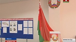 В Беларуси сегодня выбирают депутатов местных Советов 