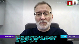 Михеев: Белорусская оппозиция и украинская власть курируются из одного центра