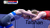 Белорусские борцы вольного стиля завоевали 4 олимпийские лицензии. Узнали,  кто добыл путевки в Париж