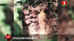 Склад боеприпасов времен Великой Отечественной войны обнаружен в Малоритском районе
