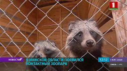 Контактный зоопарк появился в Минской области