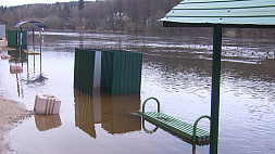 Из-за февральского потепления в Гродно уровень воды в реке Неман поднялся почти на 2 метра по сравнению с летними показателями 