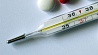 В Беларуси выявлен новый штамм вируса гриппа