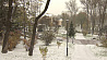 Рекорд не побит, но для конца октября явление не необычное - в северной части Беларуси выпал первый снег