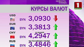 Курсы валют на 21 ноября: белорусский рубль укрепился к доллару 