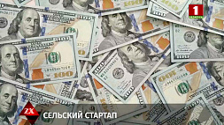 150 тысяч долларов за две недели "взял взаймы" у односельчан 26-летний житель Пружанского района