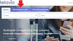 "Белавиа" временно прекратила регистрировать пассажиров онлайн