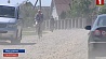 В Ивацевичах жители целого квартала задыхаются от дорожной пыли
