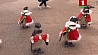 В японском городе Мацуэ  прошел мини-парад  пингвинов, посвященный приближающемуся Рождеству