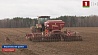 В Беларуси осуществляется мониторинг весенне-полевых работ