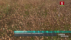 Беларусь на 75% обеспечивает себя семенами льна