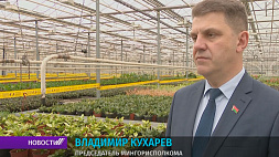 Мэр Минска оценил возможности и ассортимент парниково-тепличного комбината 