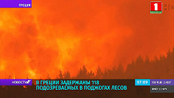 В Греции задержаны 118 подозреваемых в поджогах лесов