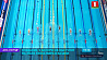 Девять белорусов примут участие в шестом этапе Кубка мира по плаванию в Казани