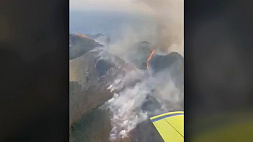 В Турции горит лес