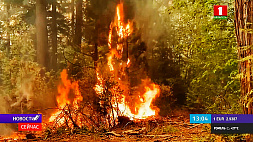 В Калифорнии бушует самый большой лесной пожар в истории штата - несколько населенных пунктов полностью выгорели