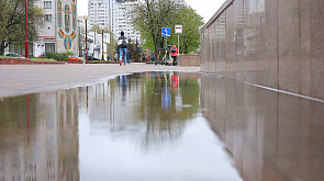 Дожди, мокрый снег и туман ожидаются 20 апреля в Беларуси