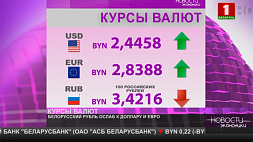Курсы валют на 3 ноября: белорусский рубль ослаб к доллару и евро