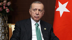 Эрдоган усомнился в профессионализме Макрона