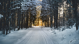 До 22 градусов мороза, снегопад, гололедица: какая будет погода в Беларуси 3 января