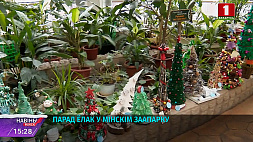 Минский зоопарк подвел итоги конкурса на самую оригинальную новогоднюю елку
