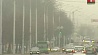 Сильный туман  внес свои коррективы в расписание Национального аэропорта Минск