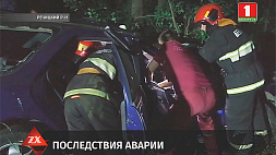 В Речицком районе водитель не справился с управлением и врезался в дерево