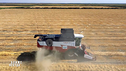 Аграрии Кубани намолотили 11,3 миллиона тонн зерновых и зернобобовых 
