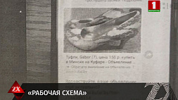 Кибермошенники похитили у жительницы Минска более 44 тысяч рублей