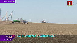 В Борисовском районе обрабатывают землю под яровой сев зерновых