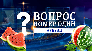 Белорусские арбузы на экспорты - выдумка или реальность? Об этом в проекте "Вопрос номер один"