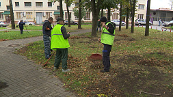 Эстафета чистоты в Минске: в Ленинском районе планируется высадить 125 деревьев и 1,5 тыс. кустарников 