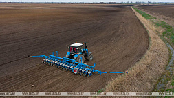 Сельхозорганизации Беларуси близятся к завершению сева яровых