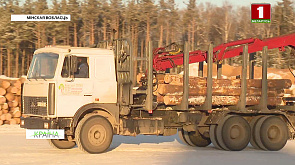 Обновление лесных массивов в Минской области, фестиваль ремесленников в Минске, проект гидропонной фермы в Гомеле - Краiна 05.03.2022