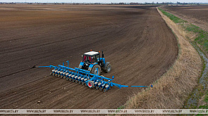 Сельхозорганизации Беларуси близятся к завершению сева яровых