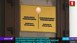 Завершено расследование дела в отношении администратора деструктивного чата из Жодино