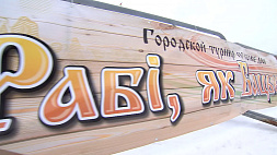 Турнир по колке дров под девизом "Рабі, як бацька!" прошел в Новополоцке