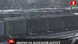 В феврале текущего года поезд сбил рабочих в Орше - возбуждено уголовное дело