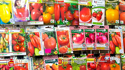 Какие сорта помидоров посадить в феврале 2024 года, чтобы собрать богатый урожай