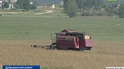 В Витебской области к уборке зерновых приступили в тринадцати районах