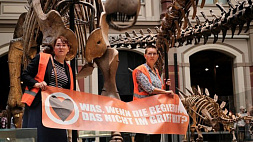 Полиция Берлина завела более 700 уголовных дел против экоактивистов