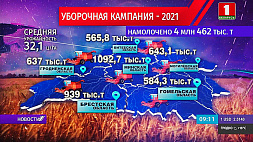 В Беларуси убрано 65 % площадей зерна