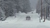 На западные и центральные штаты США обрушились снежные метели