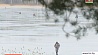 На реках в Минской области продолжается рост уровня воды