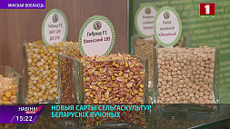 17 новых отечественных сортов сельхозкультур отправятся на белорусские поля в этом году