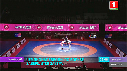 Кирилл Маскевич выиграл серебро чемпионата Европы по борьбе