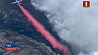 Растет число жертв лесного пожара в Калифорнии