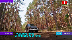 В Беларуси ограничено посещение лесов из-за жары 