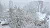 Соцсети буквально "засыпали" снежными кадрами из Витебского и Могилевского региона