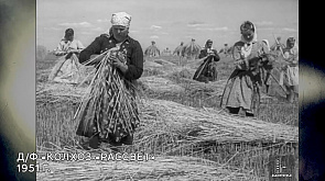 "В открытом доступе": битва за урожай в послевоенные годы в Беларуси